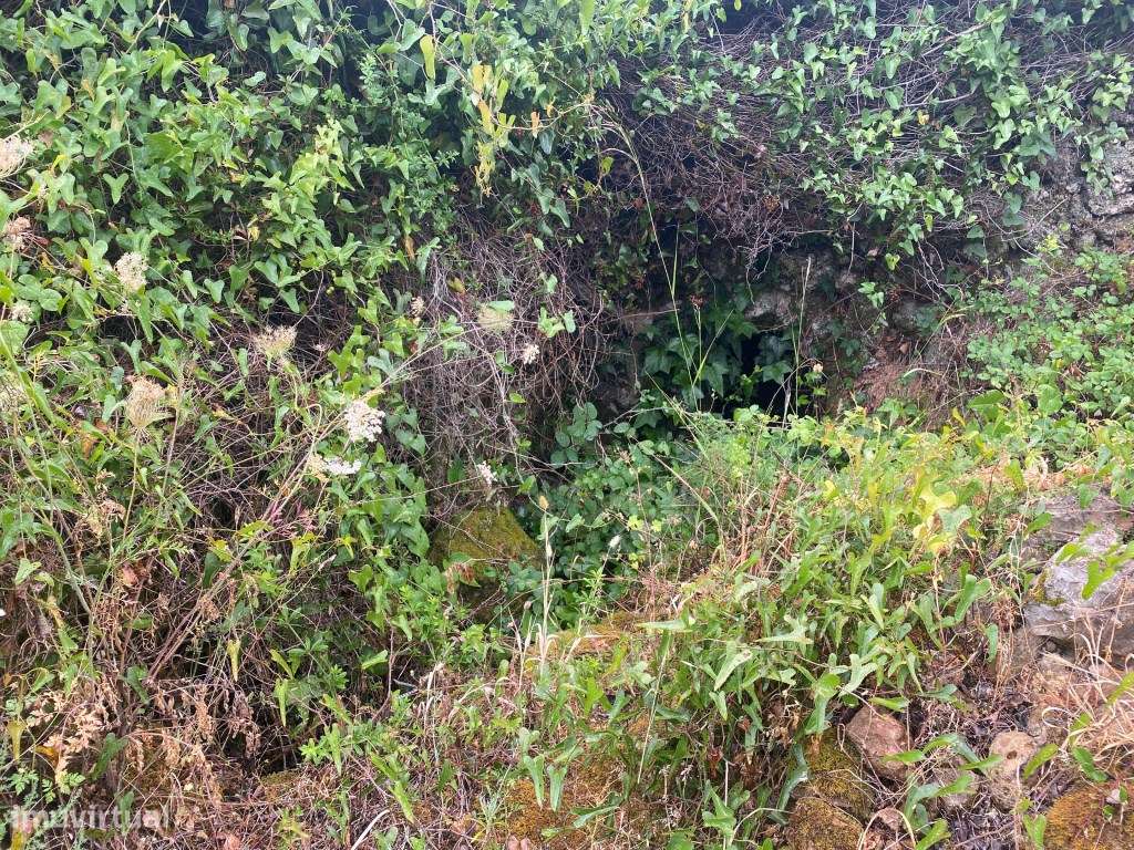 Lote de terreno rústico com a área total de 610m2, Salir, Algarve - Grande imagem: 4/9