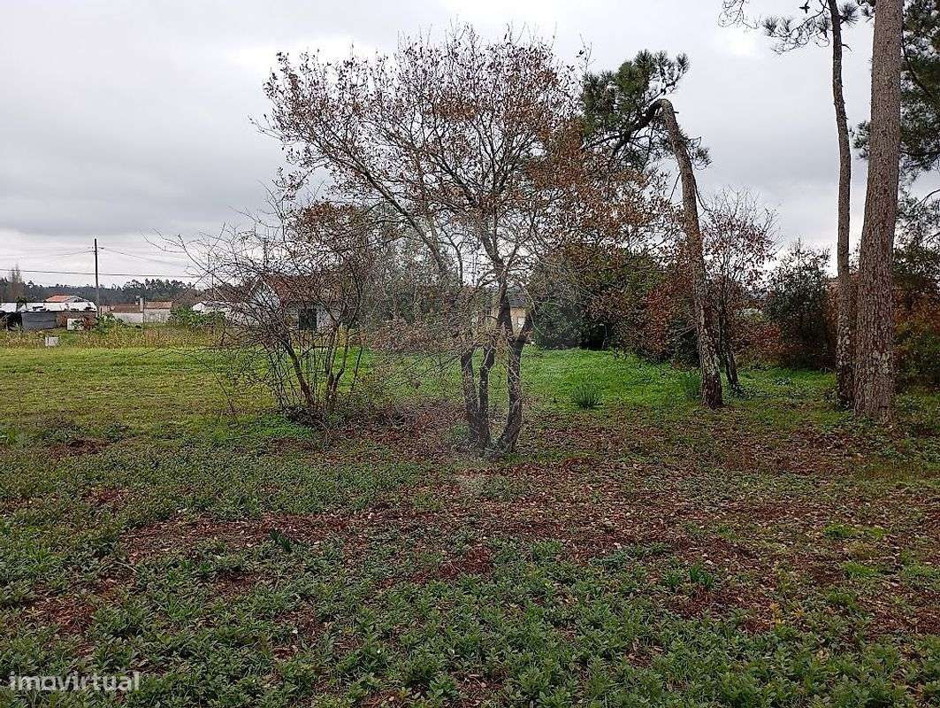 Terreno  para venda-3