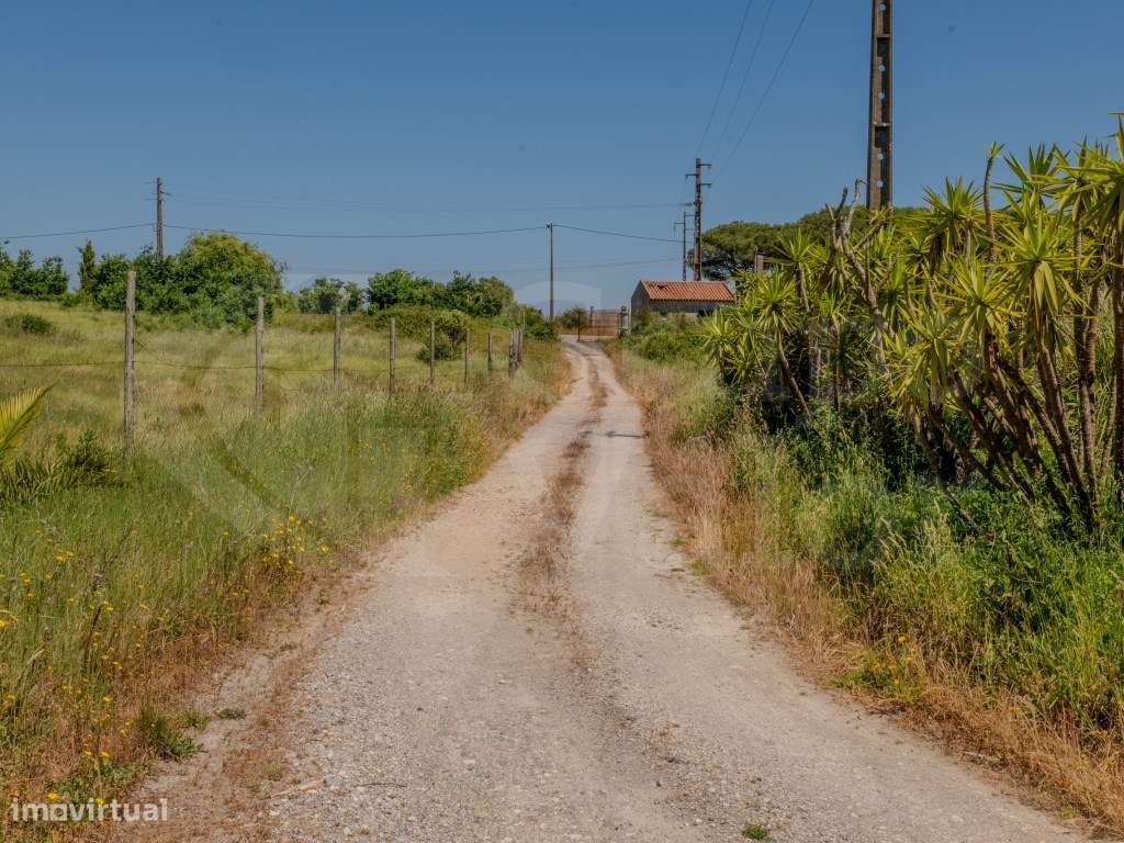 Espaço de armazéns com 2396 m2, três habitações e terreno com 89000m2 - Grande imagem: 4/21
