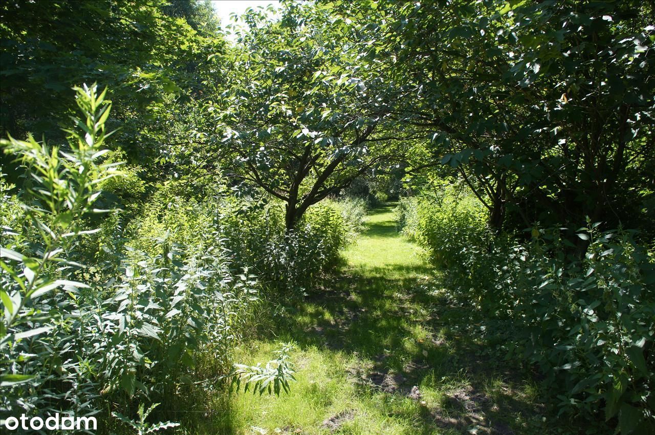 Działka dla miłośników natury Michałowice.