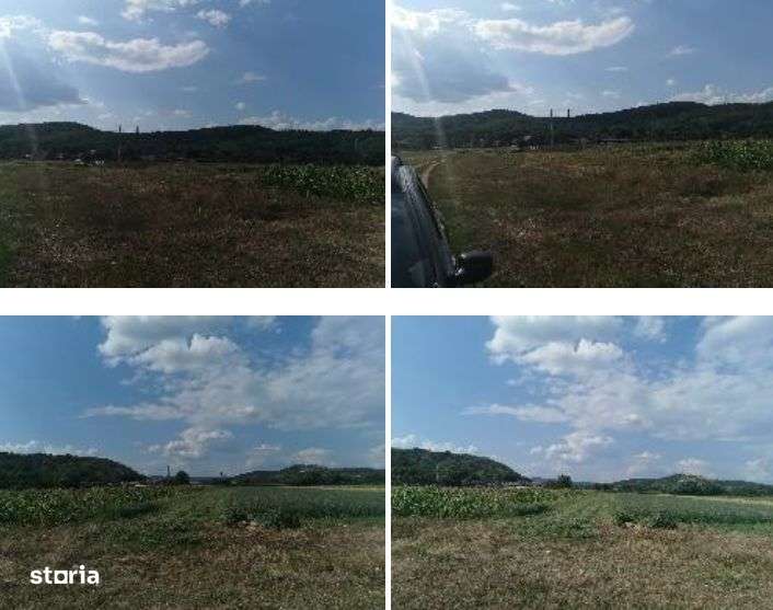 Cota de 1/2 din teren 2356 mp Com. Mihaesti, jud Valcea - Imagine principală: 4/4