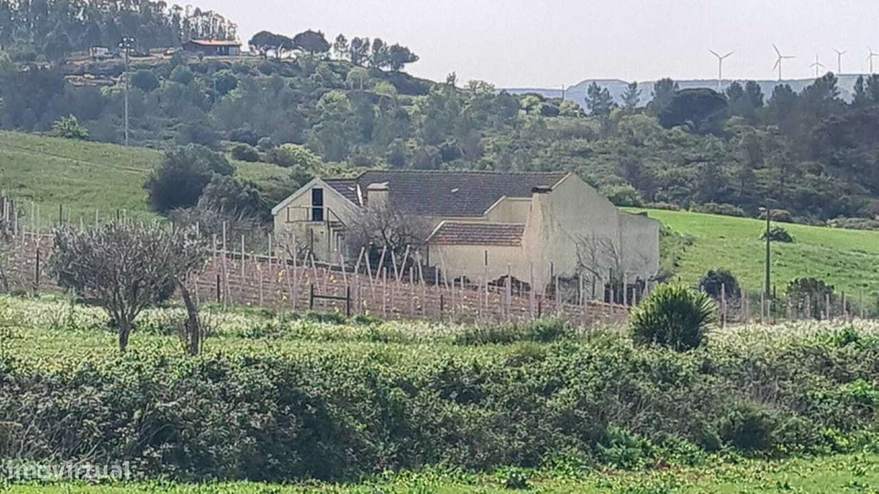 Quintinha a 10 minutos de Arruda dos Vinhos - Grande imagem: 5/22
