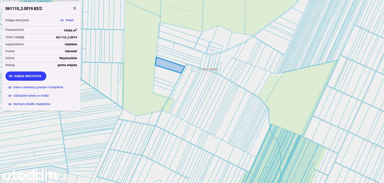 Działka rolno leśna Zofijówka, Wojcieszków, Łuków