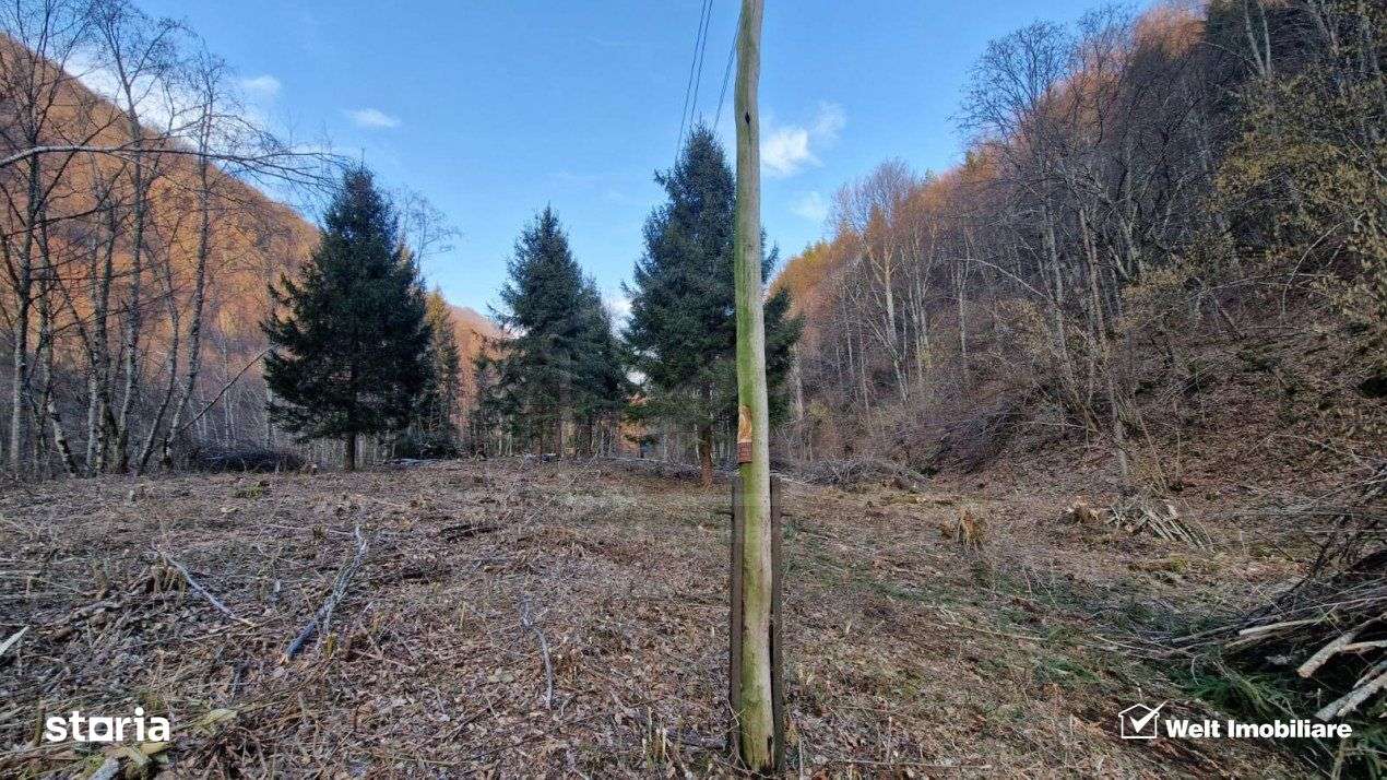 Teren Intravilan de Vanzare – 3279 MP – Coada Lacului Tarnita - Imagine principală: 2/6