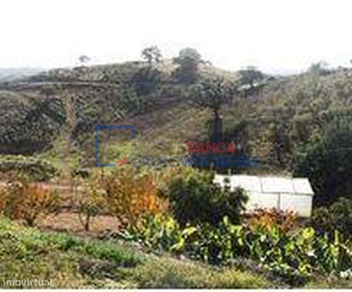 Conjunto de 2 terrenos rústicos, com uma área total de 10.586m², lo... - Grande imagem: 4/6