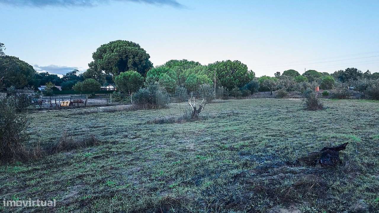 Terreno  para venda-14