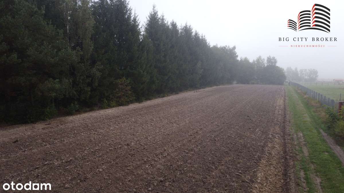 Działka budowlana 38 arów blisko jezior - Pełny obrazek: 5/10