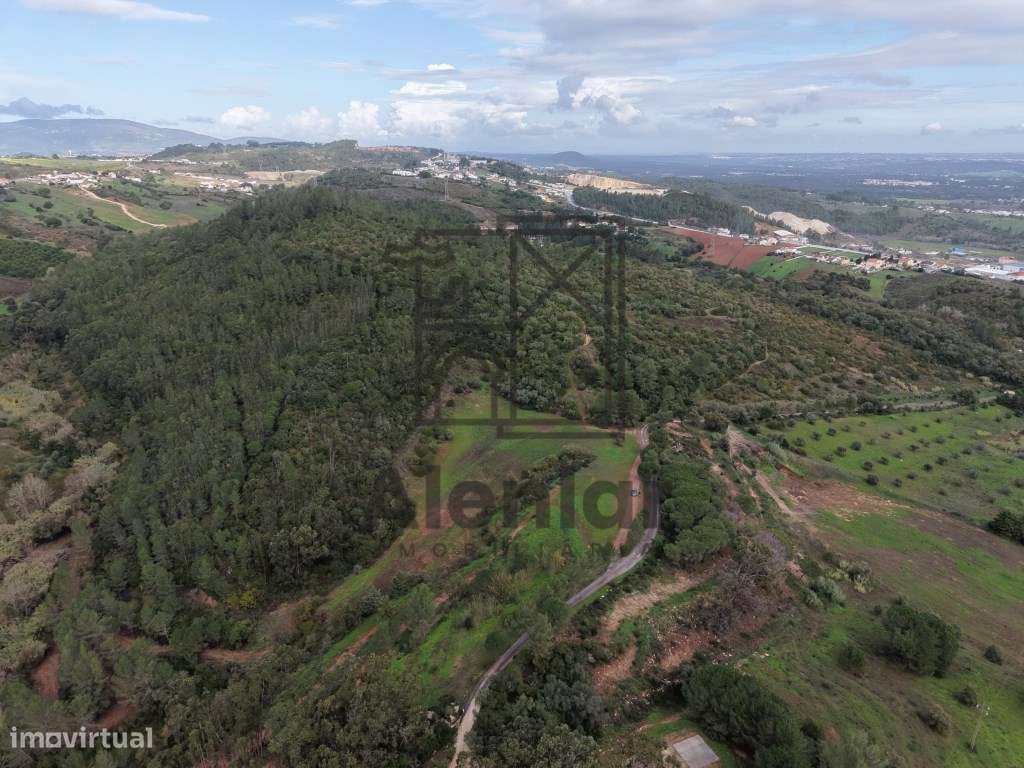 Terreno de 42 hectares, Excelente Investimento - Grande imagem: 5/24