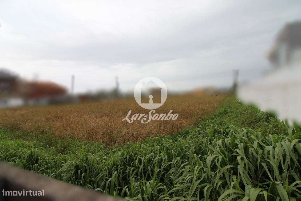 Terreno para construção com 4.100m2 em Mindelo, Vila do Conde - Grande imagem: 2/3
