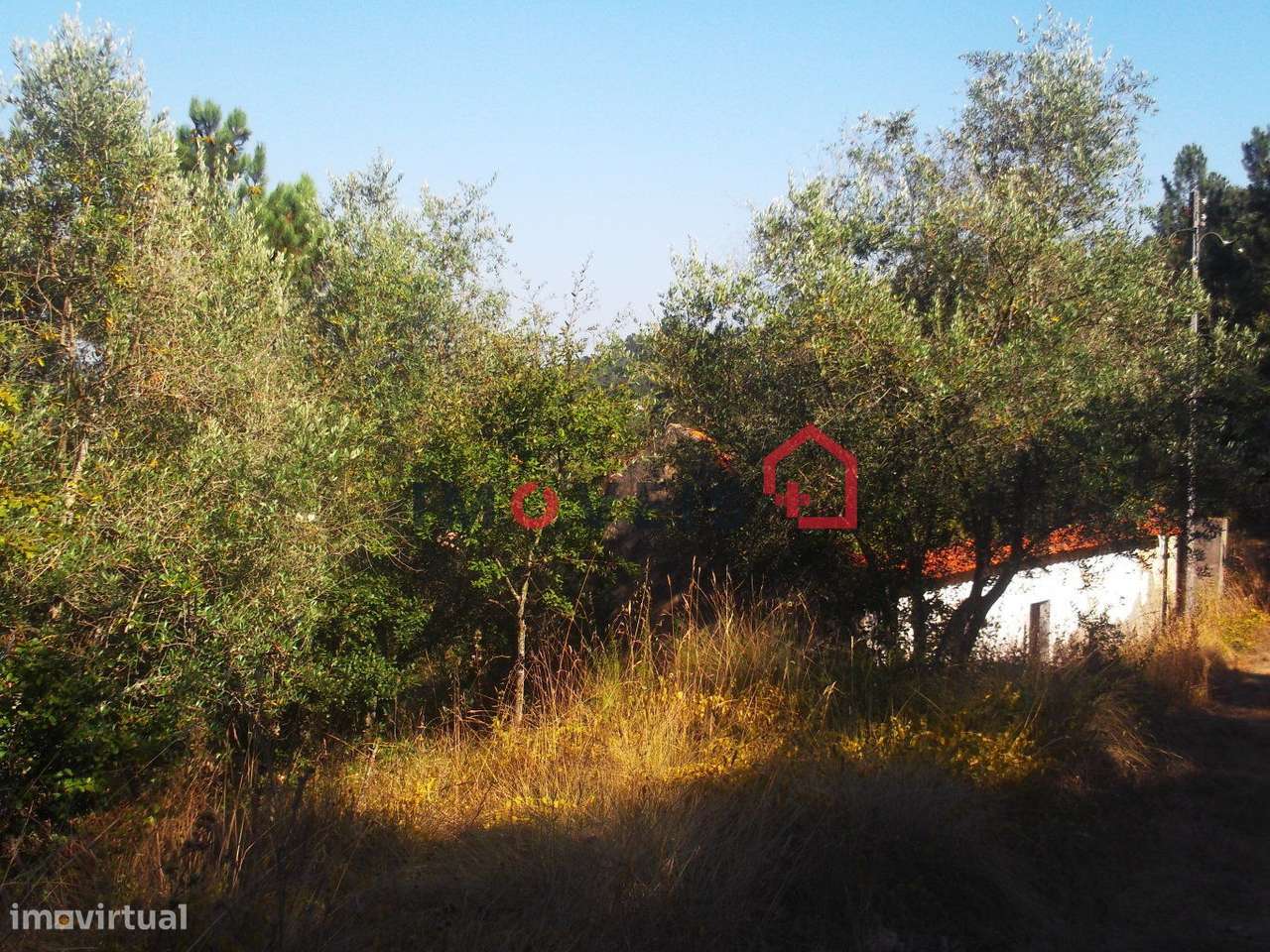 Terreno - Grande imagem: 4/4