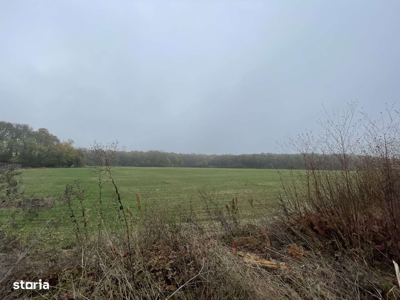 9400 mp | Ideal pentru investitie | Tunari | Deschidere la padure - Imagine principală: 4/11