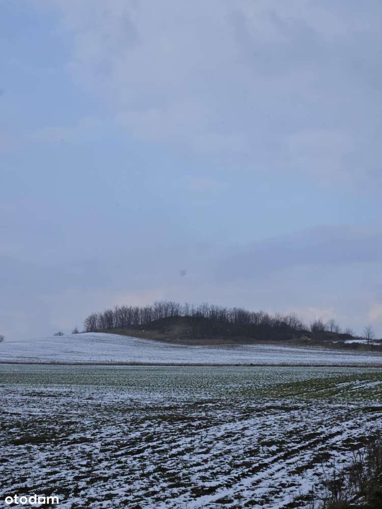 Działka inwestycyjna. Kopalnia piasku, pospółki w pobliżu Wrocławia - Pełny obrazek: 1/5