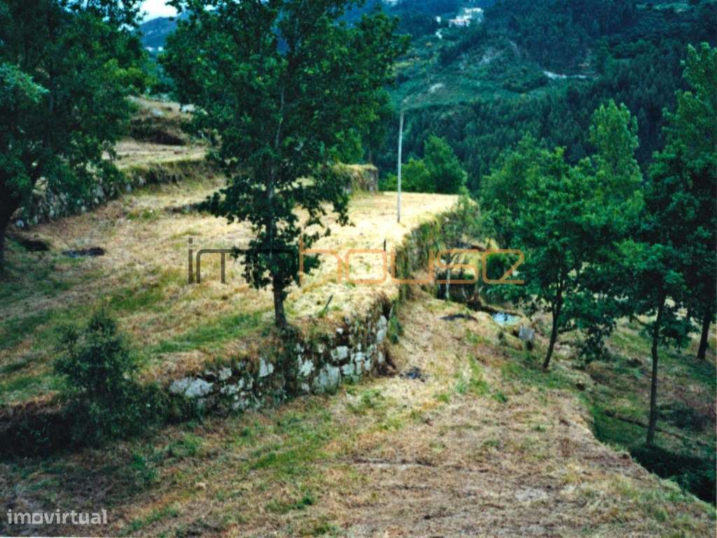 Quinta isolada - Amarante-39