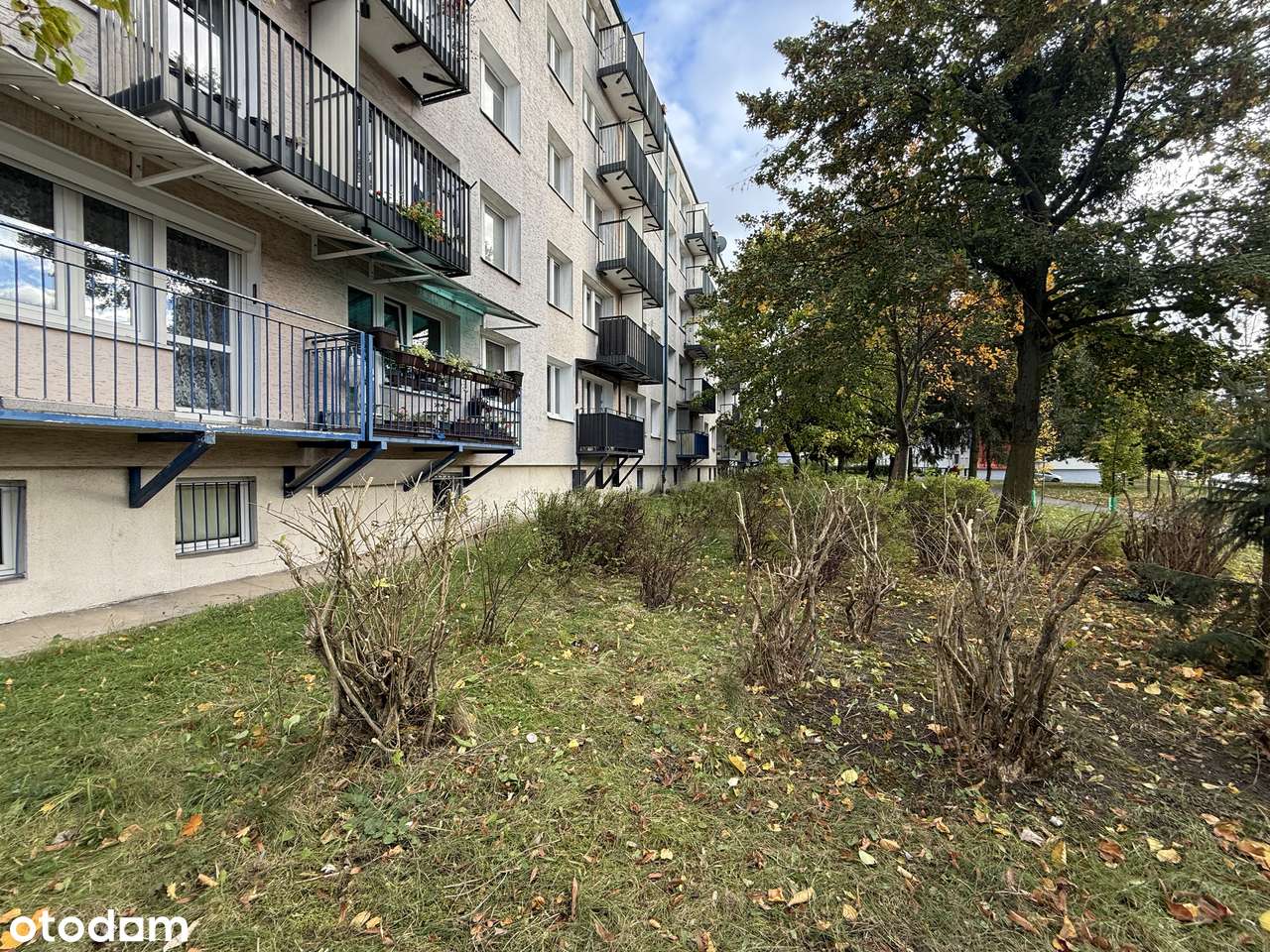 Mieszkanie z potencjałem i pięknym widokiem na zieleń | Winogrady-18