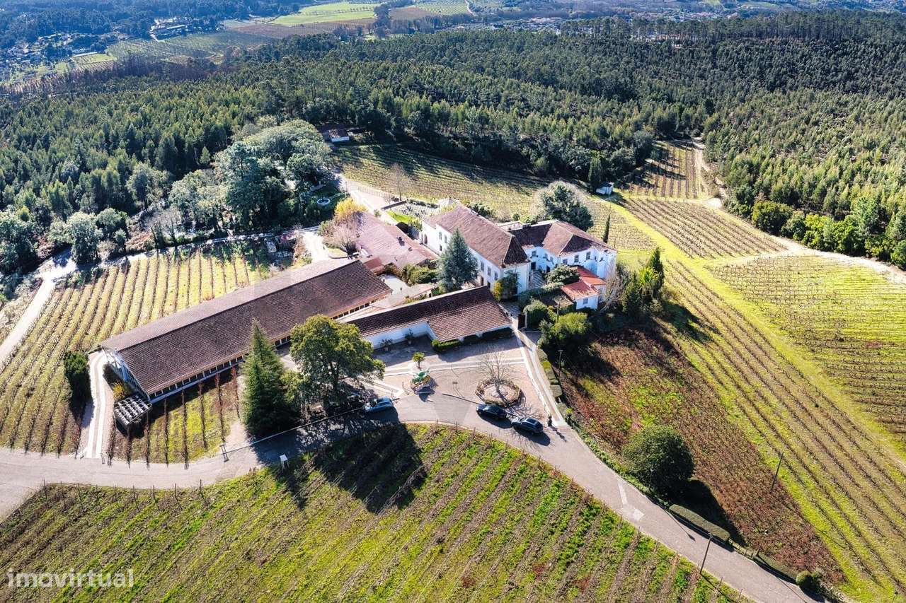 Quinta de Exceção em Ourém – 69 Hectares | Casa Senhorial do Séc. XVII - Grande imagem: 4/60