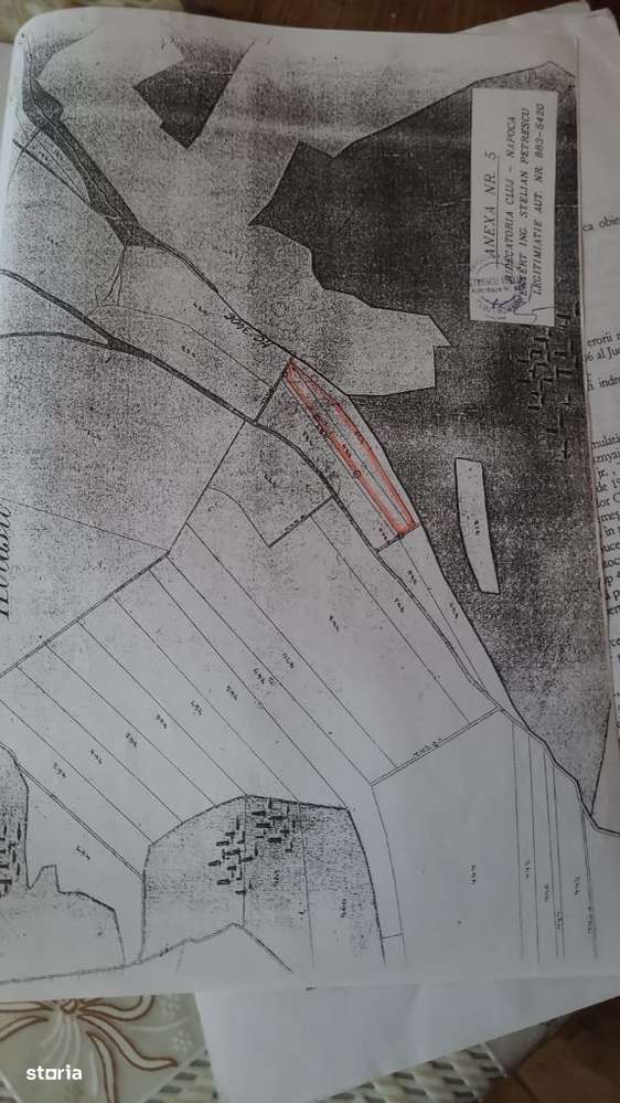 Teren 5800 mp extravilan in Suceagu ideal investitie - Imagine principală: 3/3