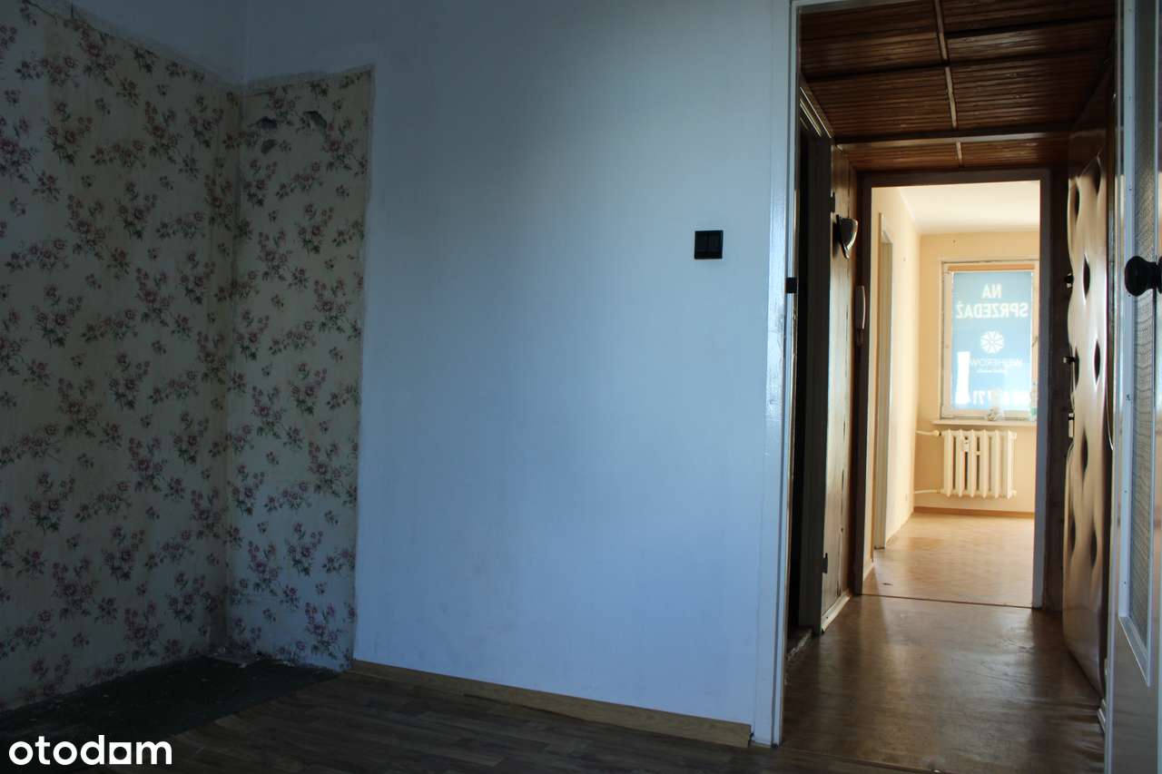 2-pokojowe mieszkanie  +  balkon  +  piwnica-5