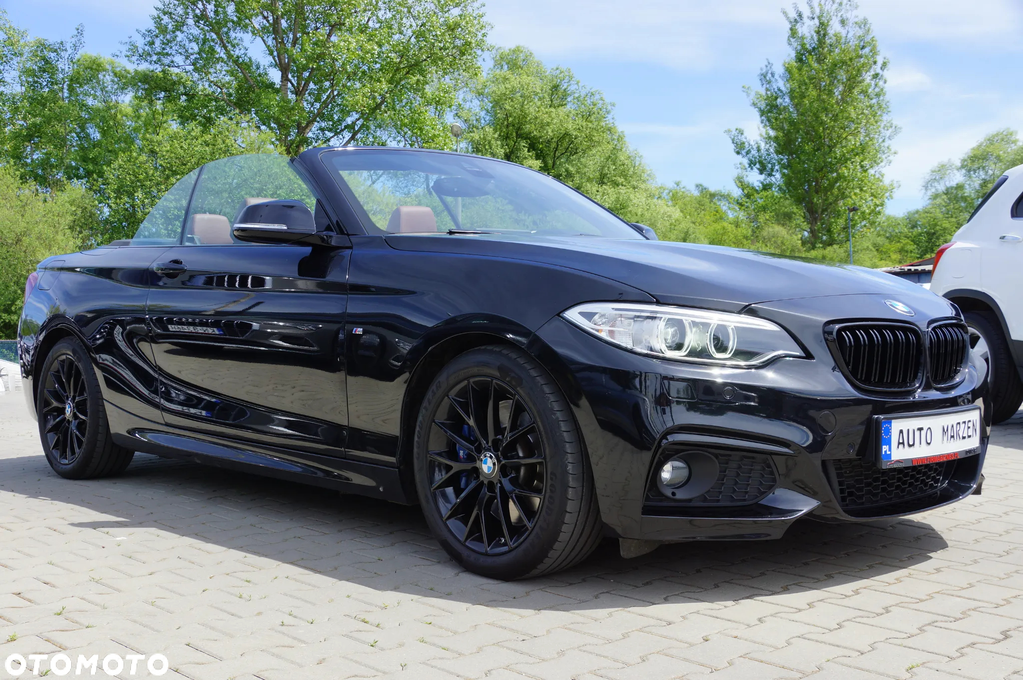 BMW Seria 2 220d Cabrio Advantage - 10