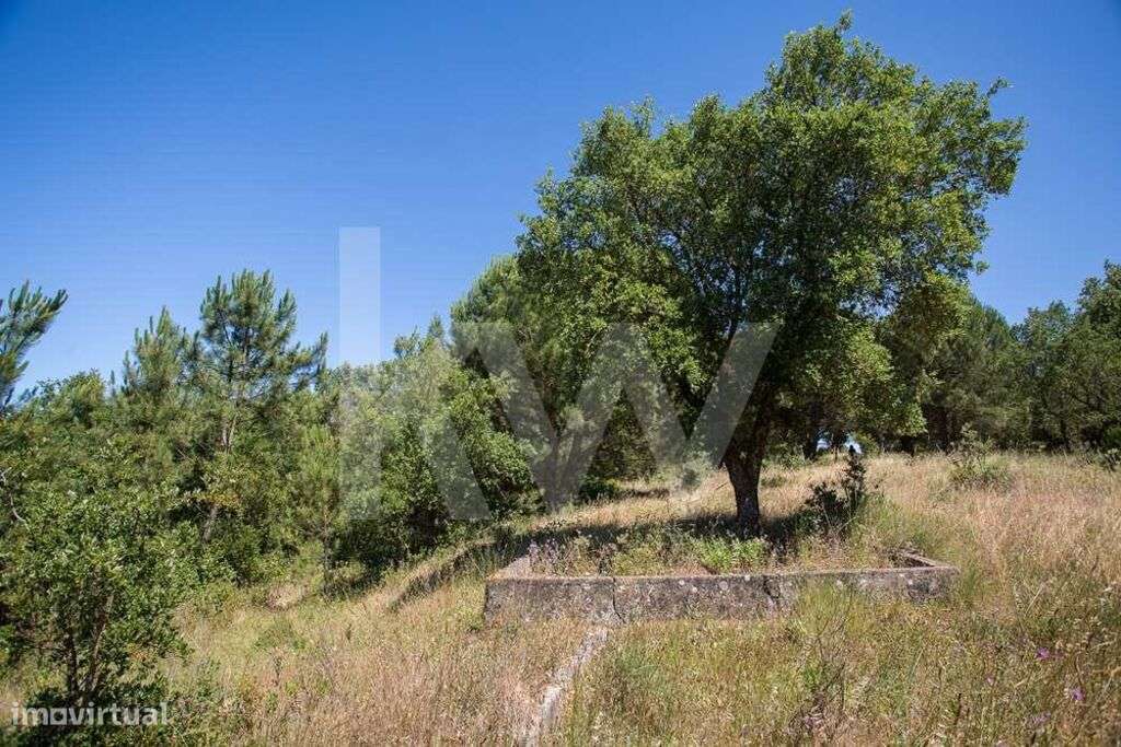 Terreno para construção com 29.169m2 na Ameixoeira, Aveiras de Cima - Grande imagem: 4/25