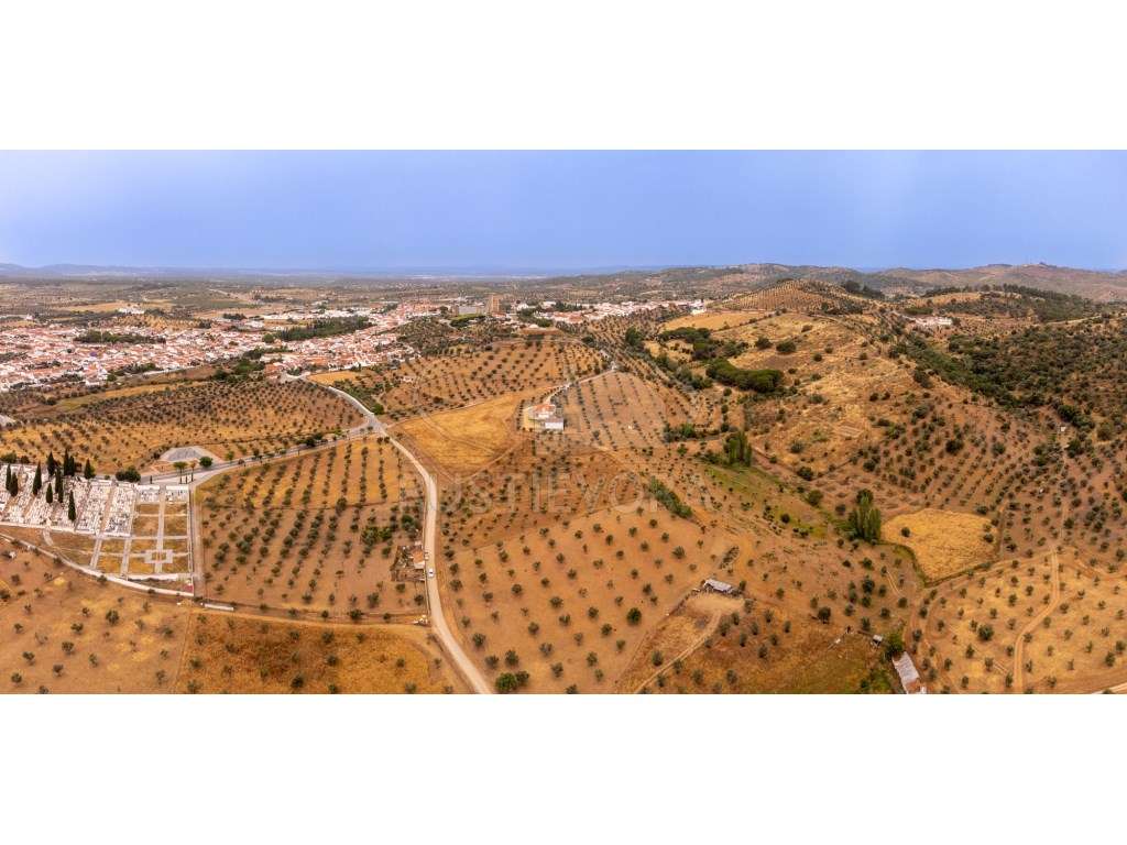 Quinta em Portel - 4,3 Ha de Tradição e Conforto-39