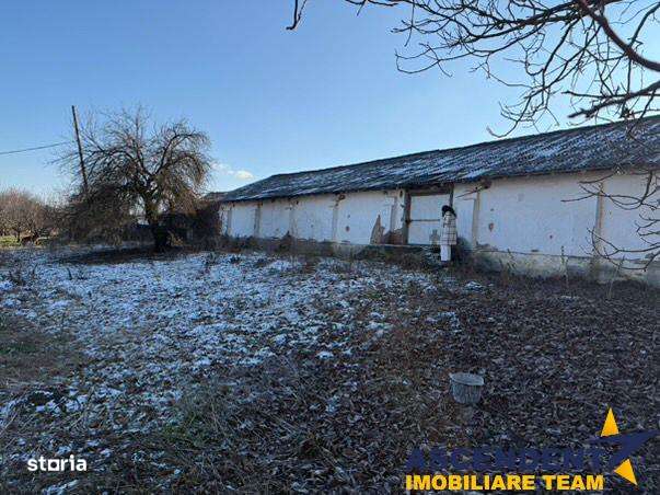 Spatiu comercialIndustrial multifunctional: productie, depozitare, log - Imagine principală: 2/7