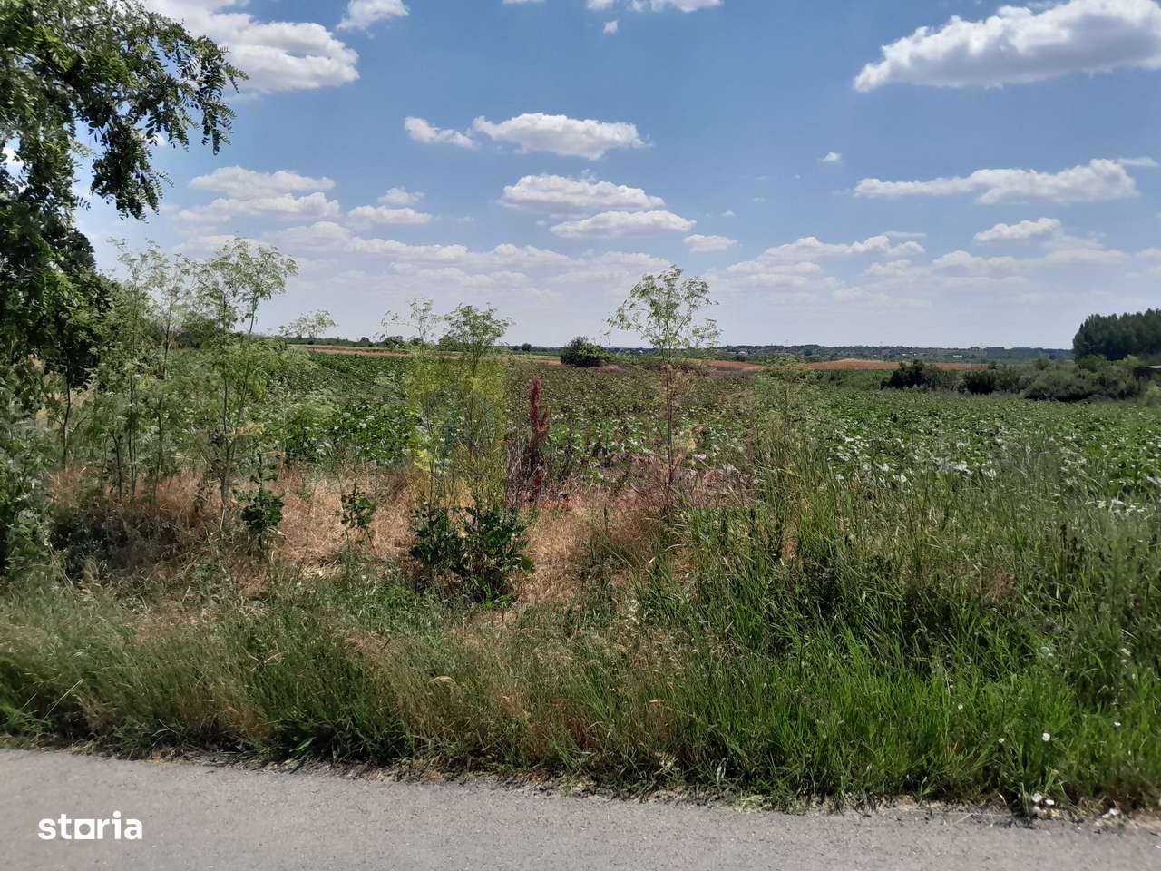 TEISORI /GR - 2 LOTURI LIPITE (TOT. 16500 MP) DE VZ 100K EUR NEG - Imagine principală: 1/11