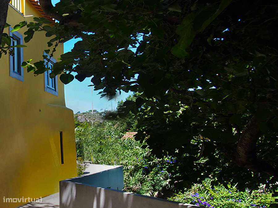 Pequena moradia T2, encantadora, autêntica, entre Óbidos e Bombarral - Grande imagem: 5/36