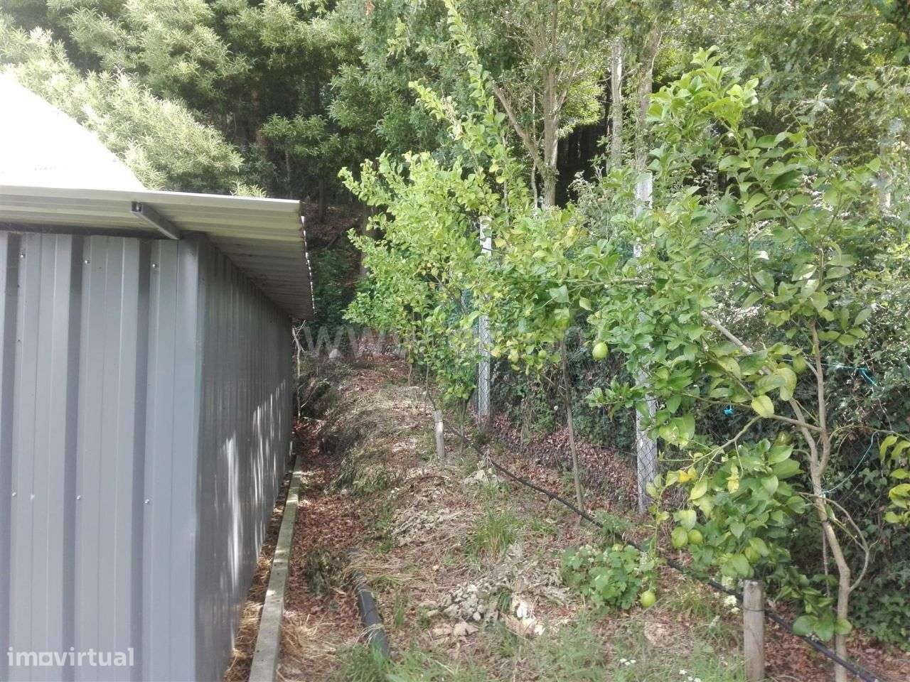 Terreno agrícola com 2.000 m2 em Estorãos - Grande imagem: 4/20