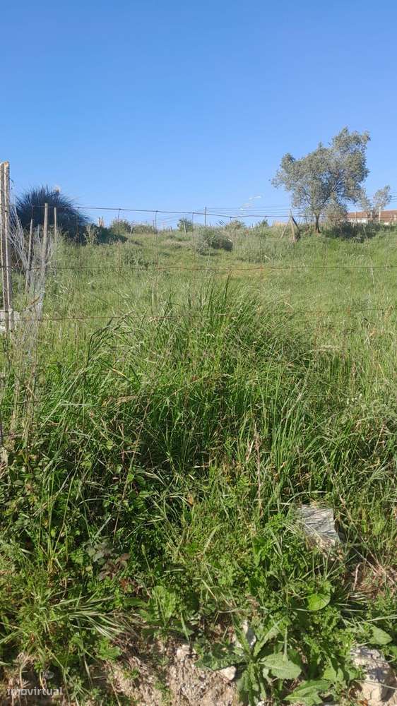 Terreno Urbano em Aveiro - Oportunidade Única por 52.380€ - Grande imagem: 5/9