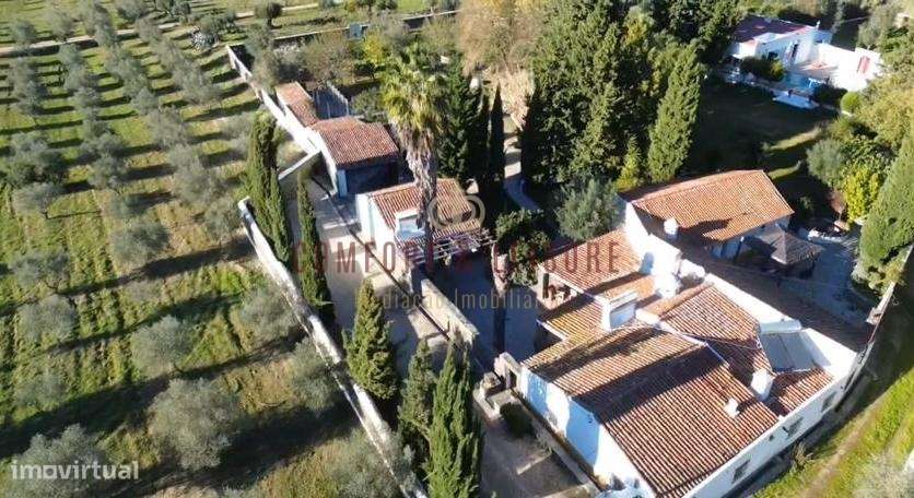 Quinta T5 Venda em Évora Monte (Santa Maria),Estremoz-5