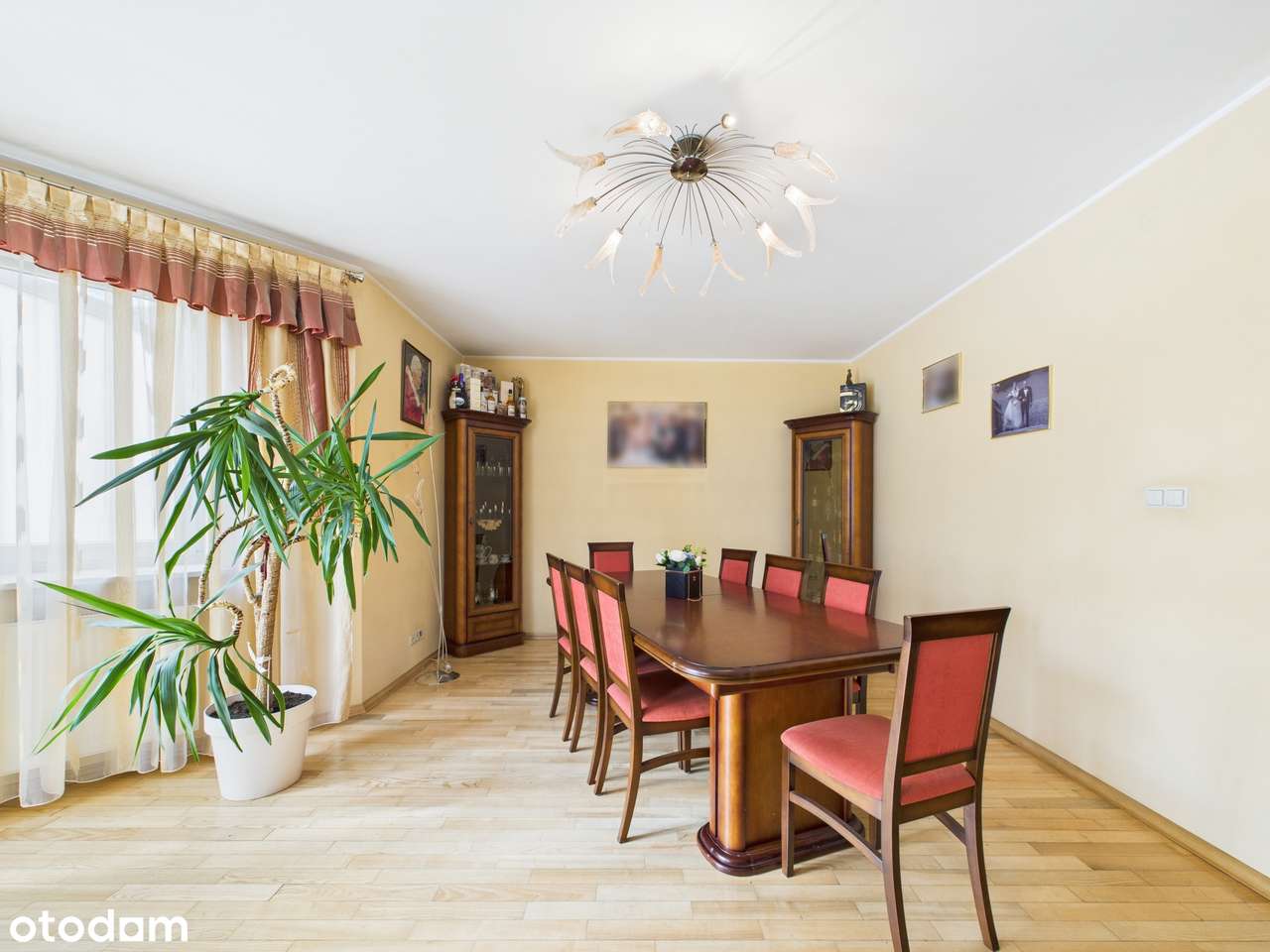 Dom w centrum Ząbek - Pełny obrazek: 4/20