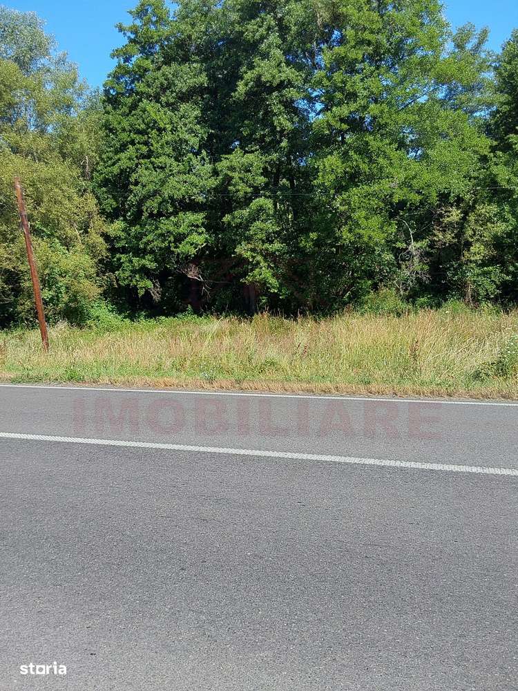 TEREN INTRAVILAN ÎN MARGA-LA DN68 JUD.CARAȘ-SEVERIN - Imagine principală: 2/9