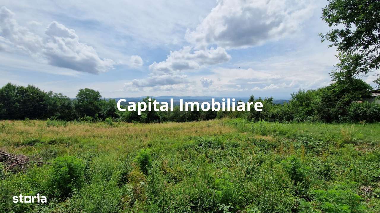 Teren Baia Sprie: 5143 mp, Parcelabil, Comision 0! - Imagine principală: 5/7