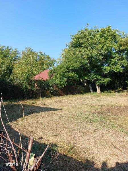 Casa de vanzare localitatea Jucu Herghelie - Imagine principală: 5/8