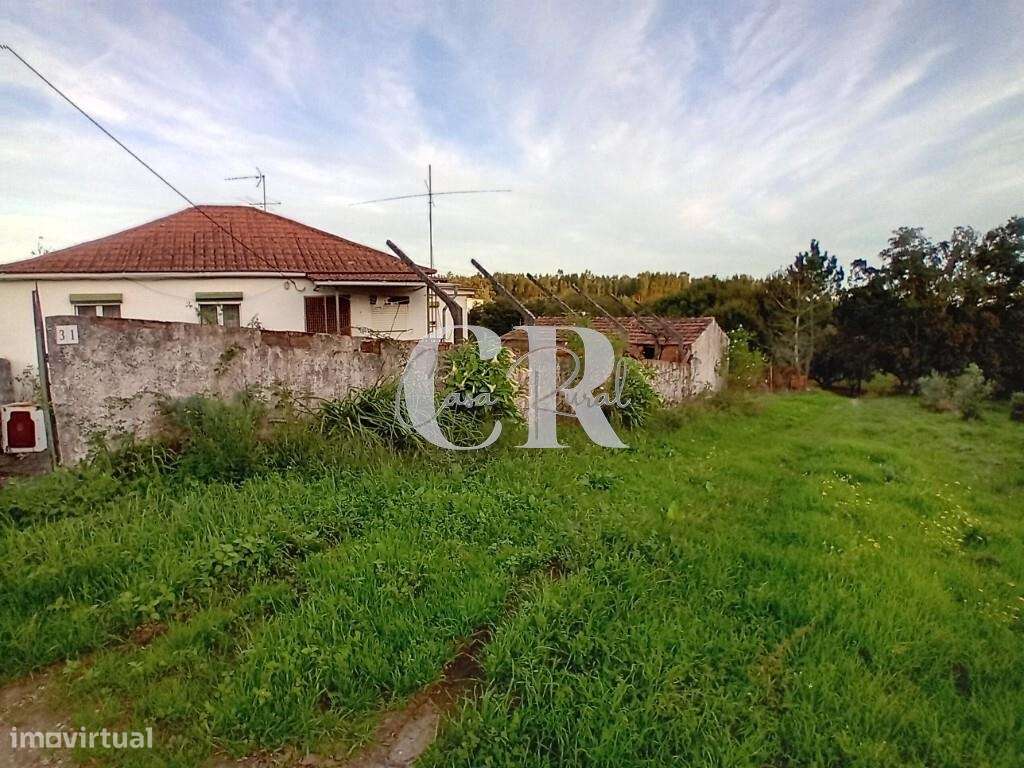 Moradia T3 com terreno pronta a habitar, logradouro e poço de água em-33