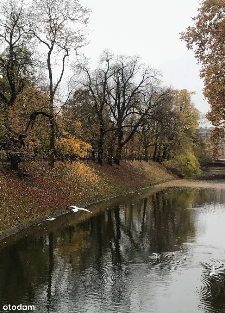 Podwale - Pełny obrazek: 4/11