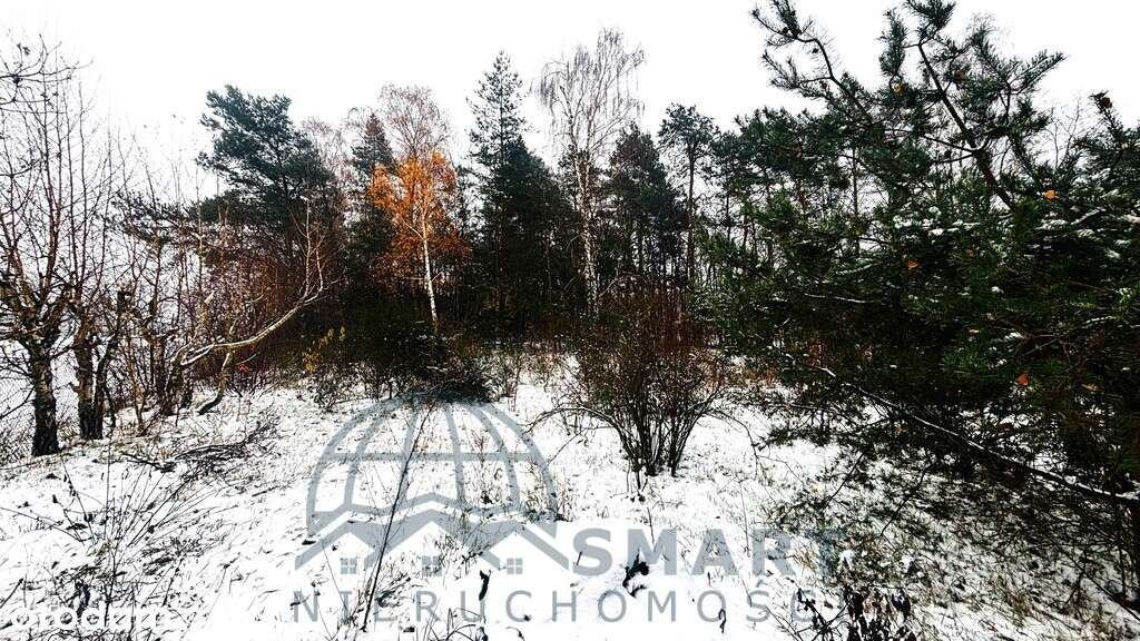 Urocza działka za miastem, Tuszyn, Wodzin-3