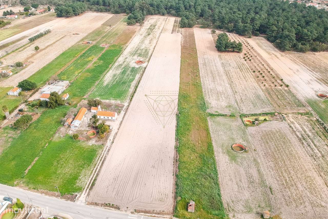 Terreno Rústico  Venda em Salvaterra de Magos e Foros de Salvaterra,Sa - Grande imagem: 2/4