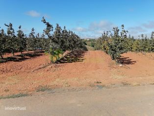 Terreno Agrícola com 4560m2, perto do Cadaval, possibilid...