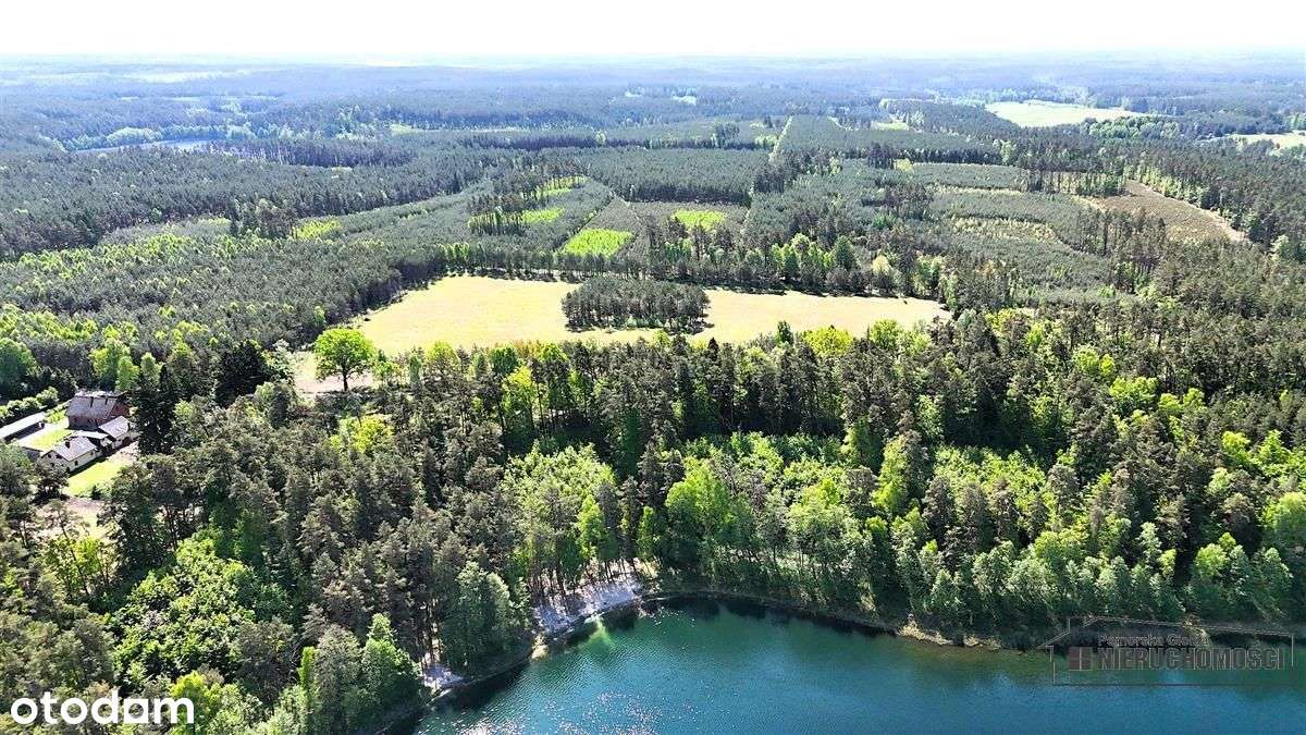 Okole - Grunt siedliskowy w otoczeniu lasu ok. 100-19