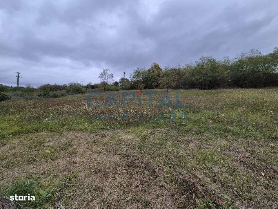 Oportunitate de investitie! Teren extravilan 11 400 mp, Apahida - Imagine principală: 4/6