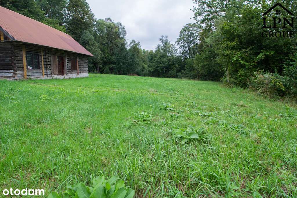 Na sprzedaż działka 32 ary z domem – Krzywaczka - Pełny obrazek: 4/17