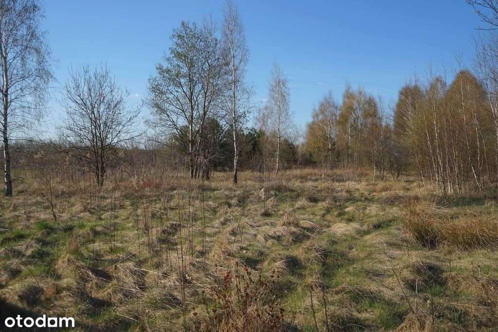 Stanisławów działka przy drodze głównej - Pełny obrazek: 2/7