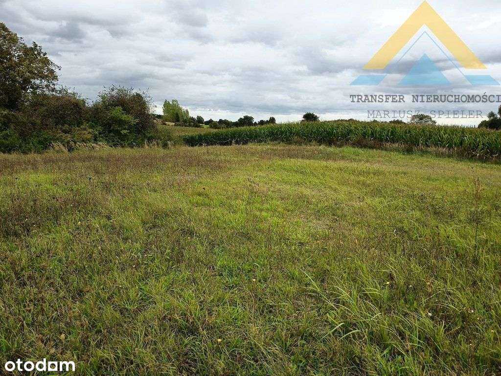 Działka rolna z potencjałem 2986 m2 , 79 tys.!-11