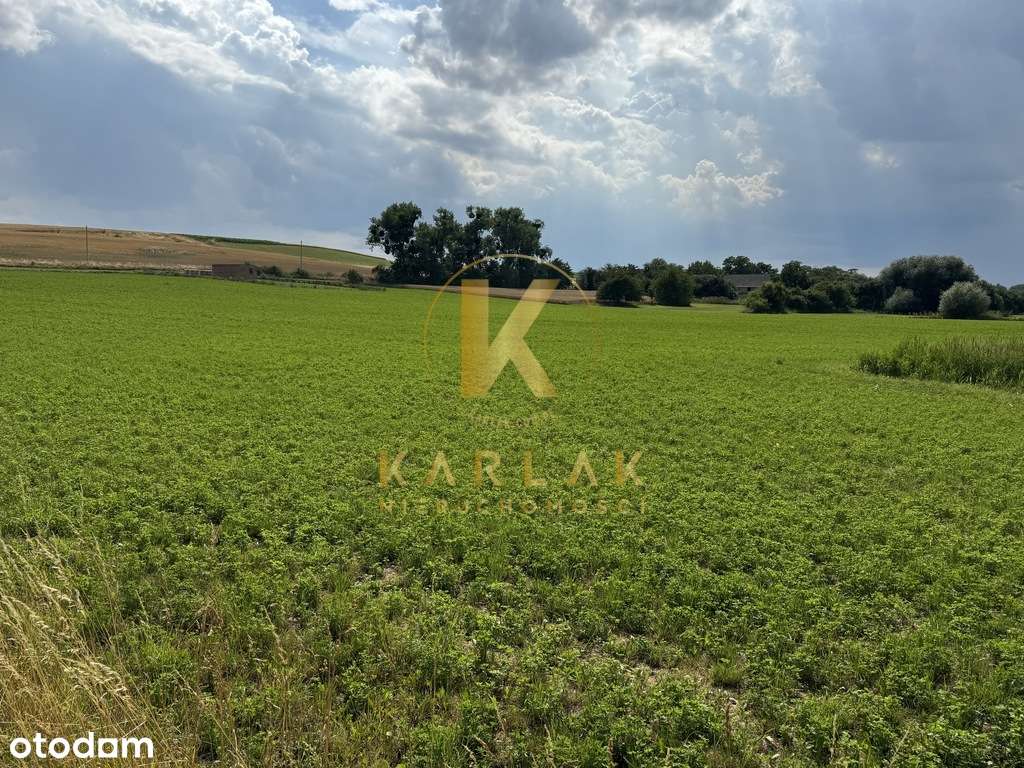 Działka w Lubiatowie (droga na Kotowo) Nowa Cena!-6