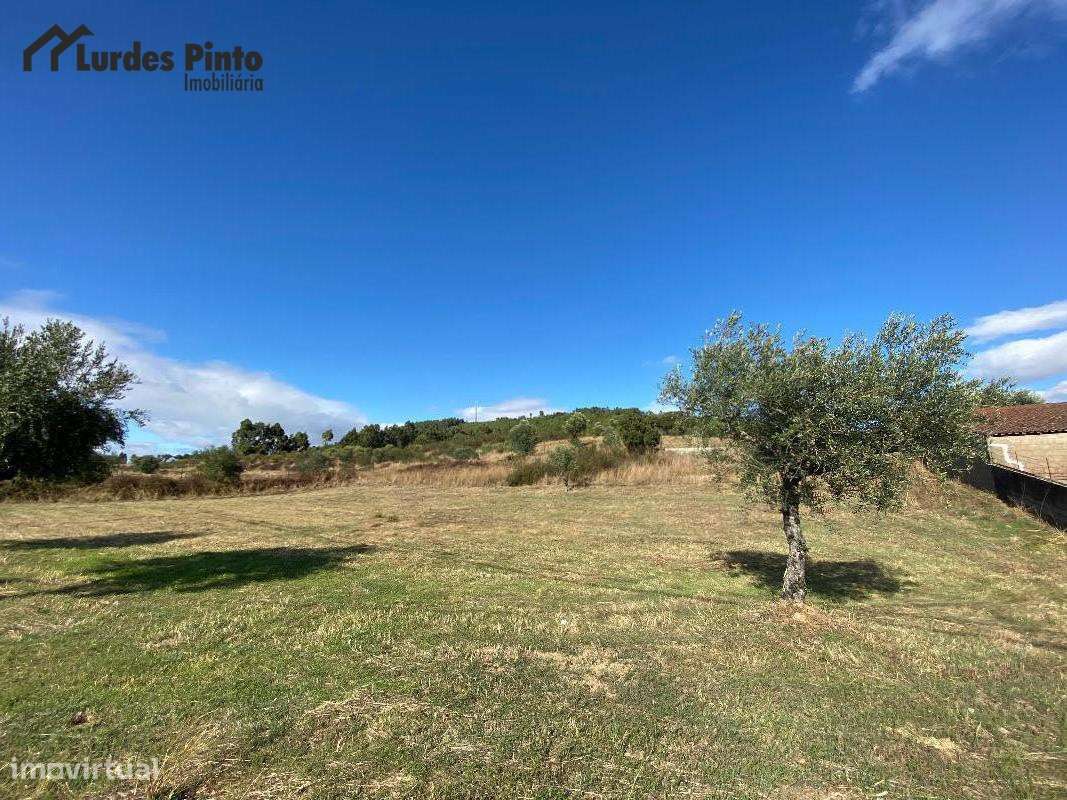 Terreno Agrícola em Palvarinho - Grande imagem: 2/7
