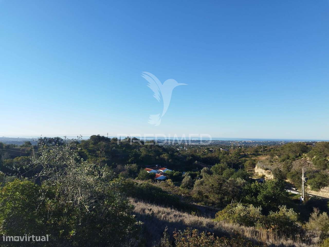 Terreno rústico em Alfontes - Boliqueime - Grande imagem: 2/28