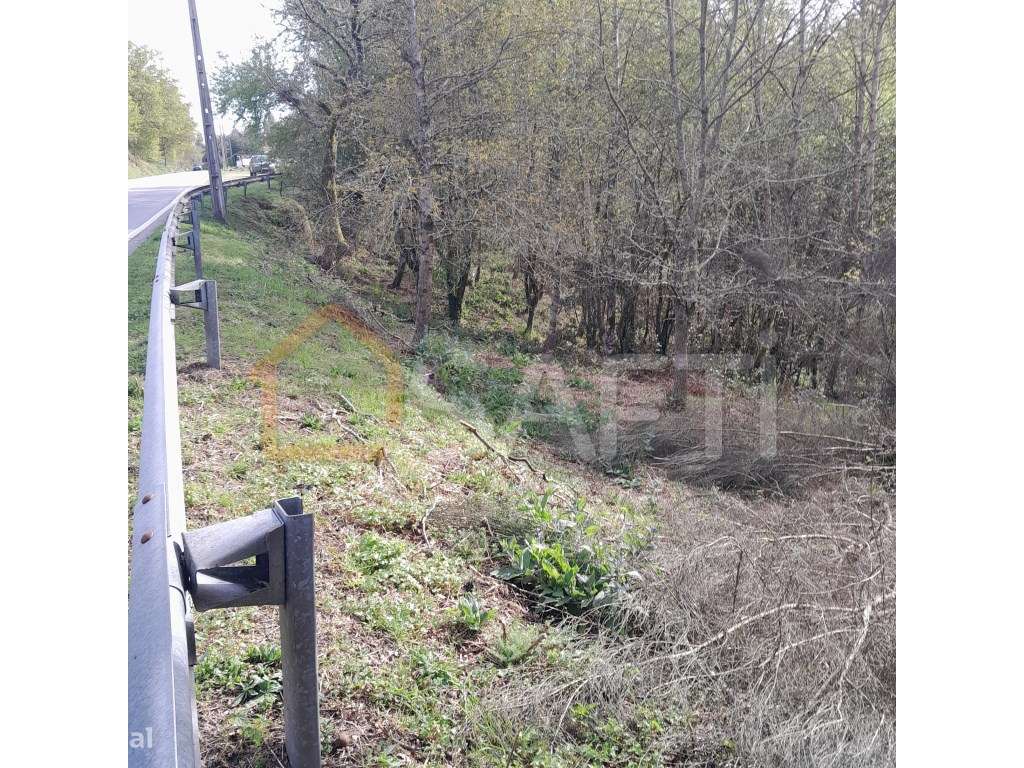 Terreno em local privilegiado - Grande imagem: 2/7