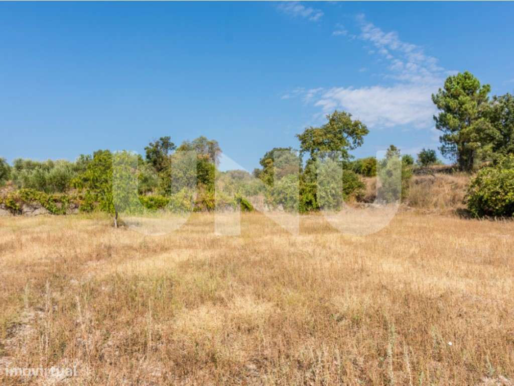 Terreno Rústico com 8900m2 para venda na Aldeia de Orca (Fundão). - Grande imagem: 3/11