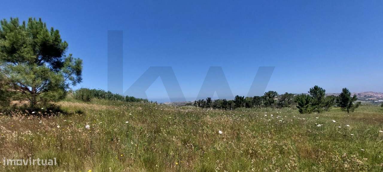 TERRENO COM VISTA MAR - LAGOA - SANTO ISIDORO - Grande imagem: 4/19
